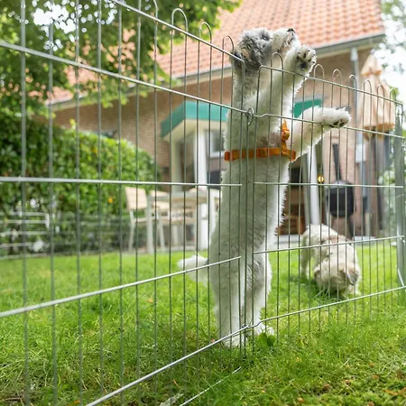 Huus Kompass - Familienurlaub Mit Hund Nahe Am Nordseestrand * Butjadingen