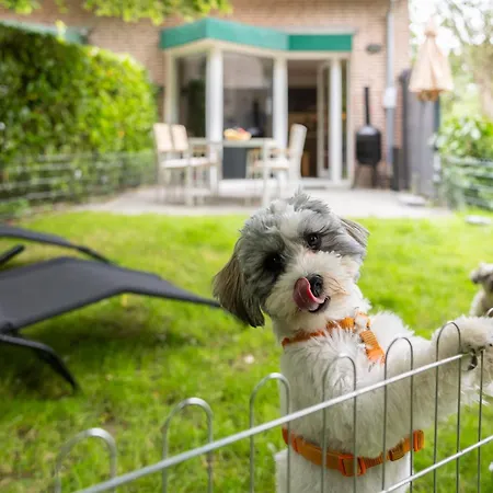 Huus Kompass - Familienurlaub Mit Hund Nahe Am Nordseestrand * Butjadingen